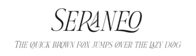 Seraneo by Letterena Studios — Serif Font — thumbnail 1