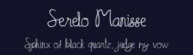 Serelo Manisse by Oreon Studio — Script Handwritten Font — thumbnail 2