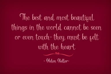 Serenita Font by Patricia (DMStd) — Script Handwritten Font — thumbnail 2