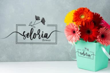 Serenity Script Font by Yumna_Type — Serif Font — thumbnail 2