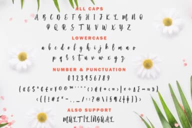 Serenity Script Font by Yumna_Type — Serif Font — thumbnail 6