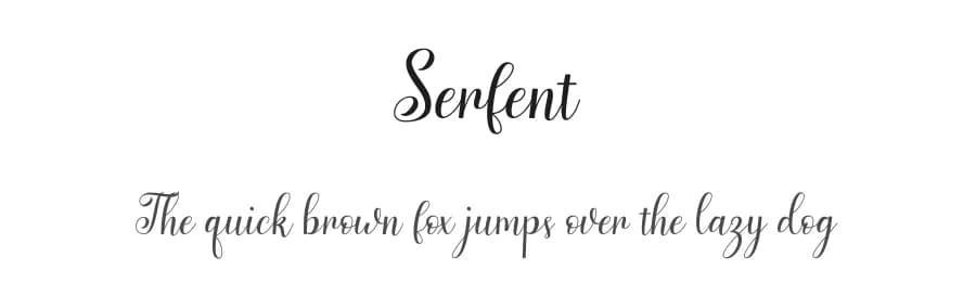 Serfent by YonType Studio — Script Handwritten Font