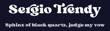 Sergio Trendy by Kulokale Studio — Serif Font — thumbnail 2