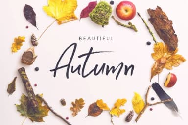 Serial Catch Font by Creativeqube Design — Script Handwritten Font — thumbnail 2