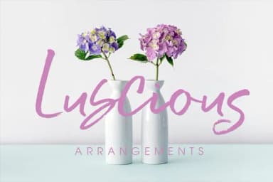 Serial Catch Font by Creativeqube Design — Script Handwritten Font — thumbnail 3