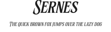 Sernes by Graptail Type Studio — Serif Font — thumbnail 1