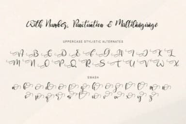 Seronita Font by thomasaradea — Script Handwritten Font — thumbnail 8