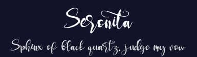 Seronita by Letterara — Script Handwritten Font — thumbnail 2