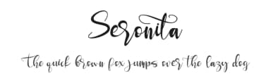 Seronita by Letterara — Script Handwritten Font — thumbnail 1