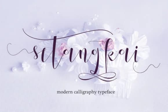 Setangkai Script Font by Arie Design — Script Handwritten Font