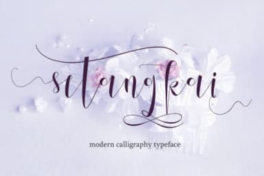 Setangkai Script Font by Arie Design — Script Handwritten Font — thumbnail 1