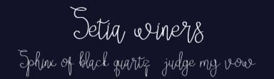 Setia winers by Niki Studio — Script Handwritten Font — thumbnail 2