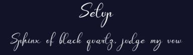 Setup by Design Vector10 — Script Handwritten Font — thumbnail 2