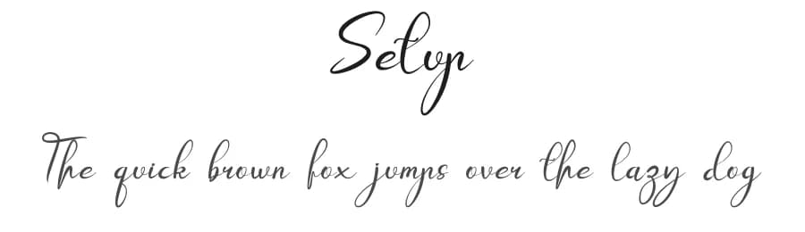 Setup by Design Vector10 — Script Handwritten Font — preview 1