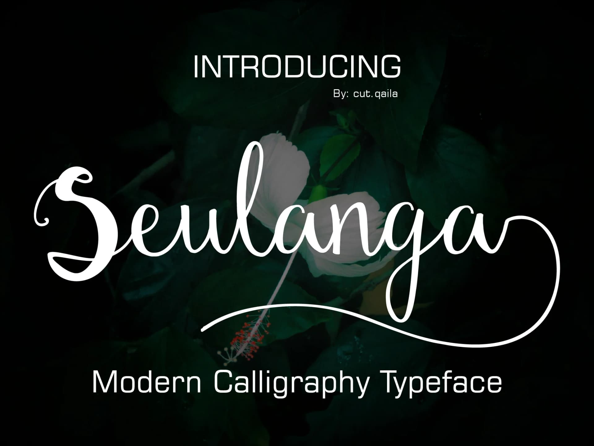 Seulanga Font by ed.creative — Script Handwritten Font — preview 1