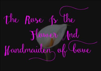 Seulanga Font by ed.creative — Script Handwritten Font — thumbnail 5