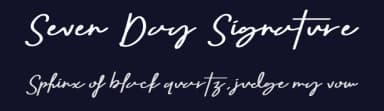 Seven Day Signature by RantautypeStudio — Script Handwritten Font — thumbnail 2