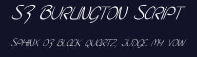 SF Burlington Script by ShyFonts — Script Handwritten Font — thumbnail 2