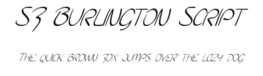 SF Burlington Script by ShyFonts — Script Handwritten Font — thumbnail 1