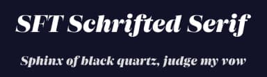 SFT Schrifted Serif by Schrifteria Foundry — Serif Font — thumbnail 2