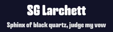 SG Larchett by Studio Gulden — Sans Serif Font — thumbnail 2