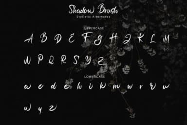 Shadow Brush Font by Juncreative — Script Handwritten Font — thumbnail 9
