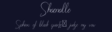 Shaenalle by Muhammad Wahyudin — Script Handwritten Font — thumbnail 2