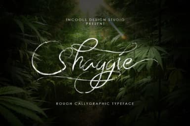 Shaggie Font by Incools Design Studio — Script Handwritten Font — thumbnail 1