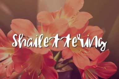 Shailettering Font by Shailynn Hodgins — Script Handwritten Font — thumbnail 1