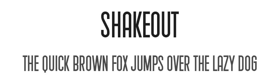 Shakeout by Vladimir Nikolic — Sans Serif Font