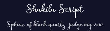 Shakila Script by Alifinart Studio — Script Handwritten Font — thumbnail 2