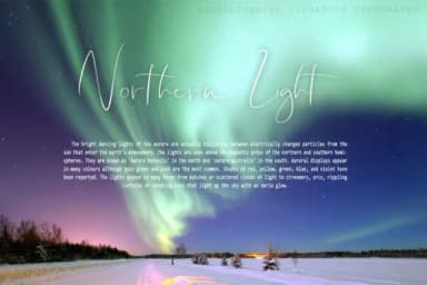 Shallou Script Font by Digital Hustler — Script Handwritten Font — thumbnail 8