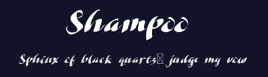 Shampoo by Mightyfire — Script Handwritten Font — thumbnail 2