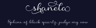 Shanela by PutraCetol Studio — Script Handwritten Font — thumbnail 2