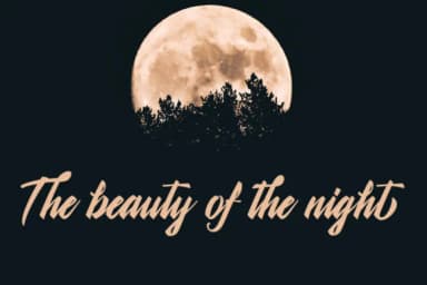 Shanella Font by faisal_Alfaraby — Script Handwritten Font — thumbnail 3