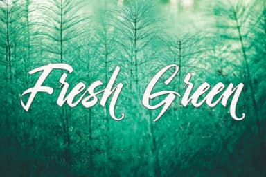 Shanella Font by faisal_Alfaraby — Script Handwritten Font — thumbnail 7