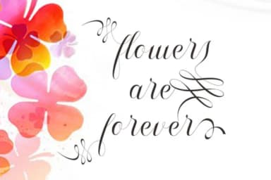 Shanghai Font by sapre.studio — Script Handwritten Font — thumbnail 5