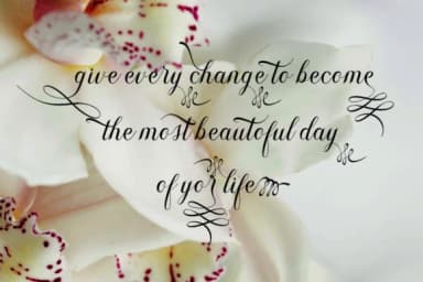 Shanghai Font by sapre.studio — Script Handwritten Font — thumbnail 7