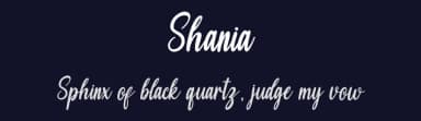Shania by Graphix Line Studio — Script Handwritten Font — thumbnail 2