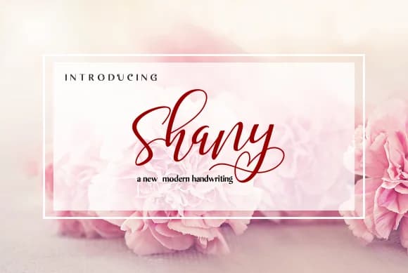 Shany Font by Malindo Creative — Script Handwritten Font