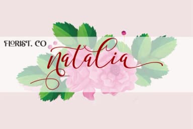 Shany Font by Malindo Creative — Script Handwritten Font — thumbnail 6