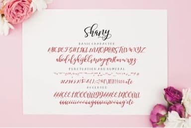 Shany Font by Malindo Creative — Script Handwritten Font — thumbnail 9