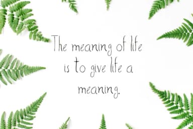 Sharoon Font by creativetacos — Script Handwritten Font — thumbnail 5