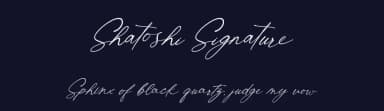 Shatoshi Signature by Letterena Studios — Script Handwritten Font — thumbnail 2