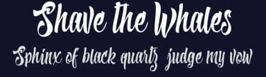 Shave the Whales by Billy Argel Fonts ® — Script Handwritten Font — thumbnail 2