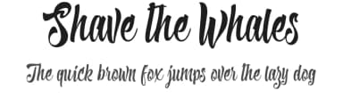 Shave the Whales by Billy Argel Fonts ® — Script Handwritten Font — thumbnail 1