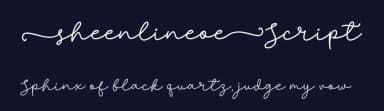 Sheenline Script by Beautypes — Script Handwritten Font — thumbnail 2