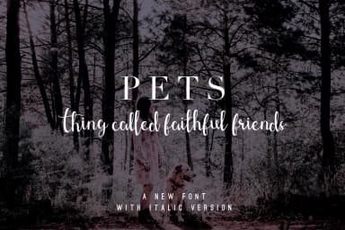 Shefilla Font by Dharmas Studio — Script Handwritten Font — thumbnail 3