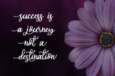 Sheila Script Font by fanastudio — Script Handwritten Font — thumbnail 6