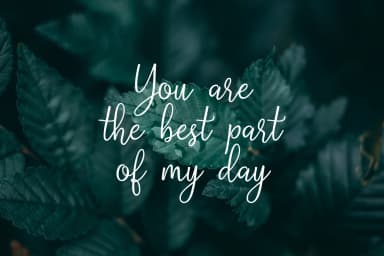 Shelafisa Font by Typia Nesia — Script Handwritten Font — thumbnail 3